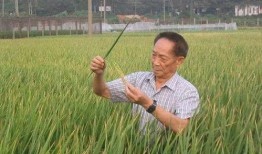 国外爆料袁隆平视频大全,揭秘农业巨擘的传奇人生